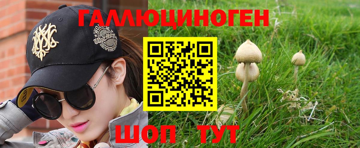 Псилоцибиновые грибы Psilocybine cubensis Ликино-Дулёво